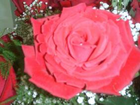 Perla Farms Wedding Flowers Nationwide
